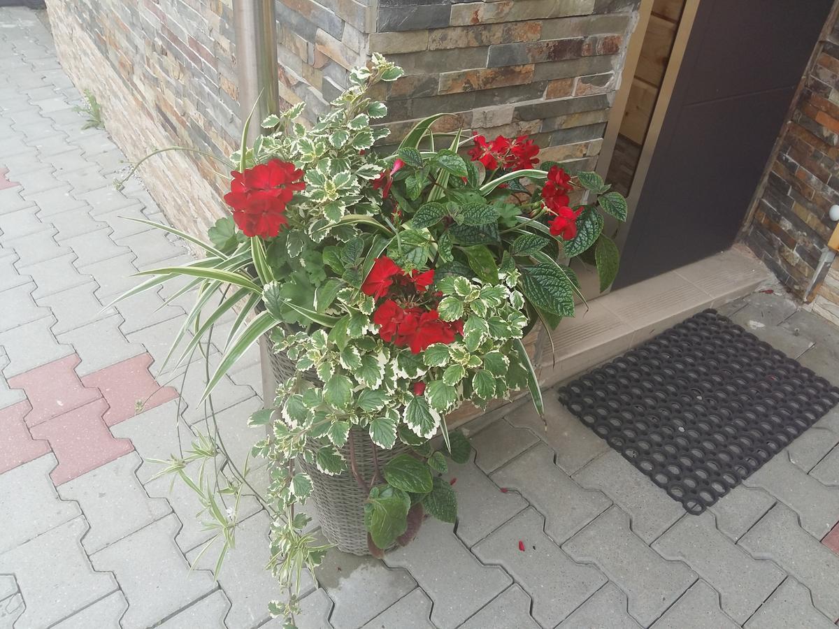多米客87号酒店 克雷尼察 外观 照片